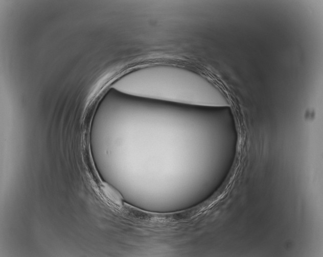 X0000115760101200911131008