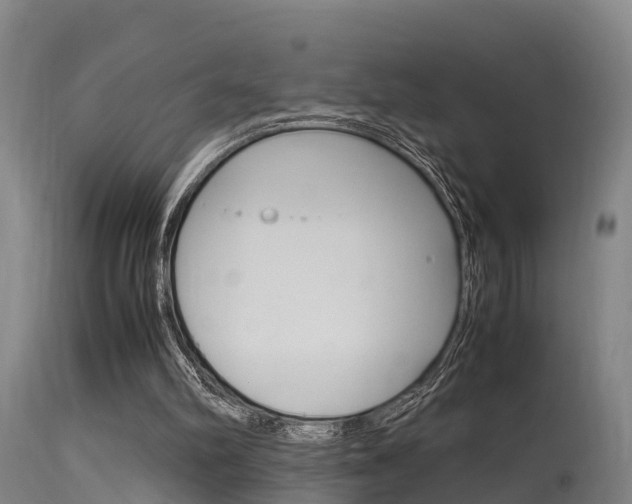 X0000115760102200911131008
