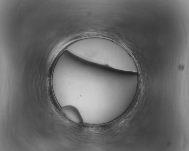 X0000115760103200911131008