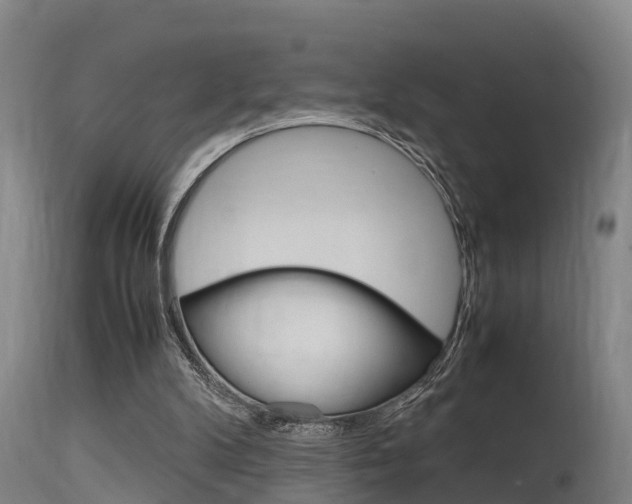 X0000115760104200911131008