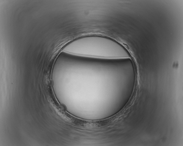 X0000115760105200911131008