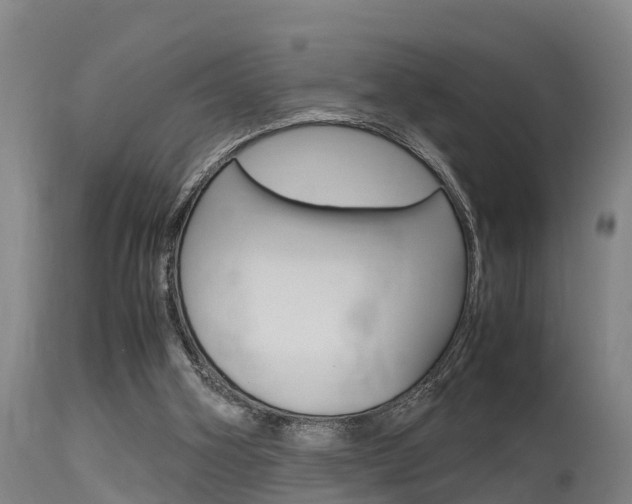 X0000115760106200911131008