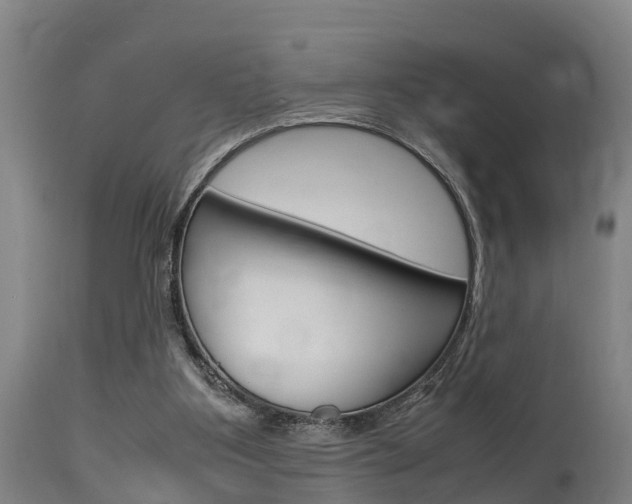 X0000115760107200911131008
