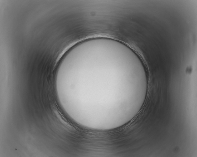 X0000115760108200911131008