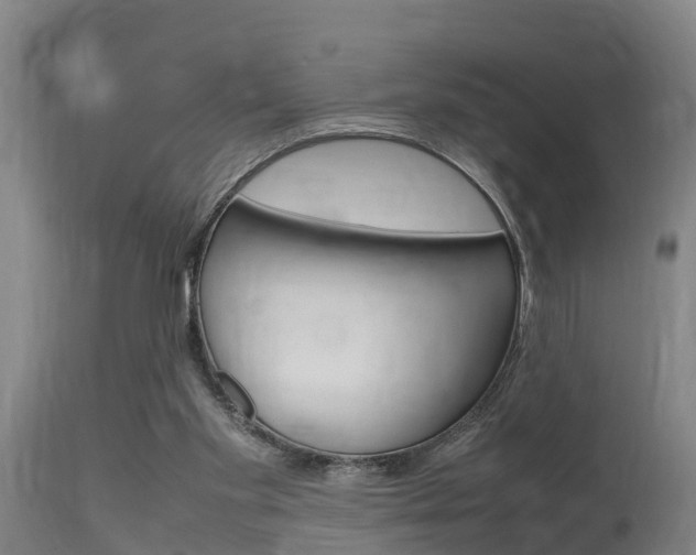 X0000115760109200911131008