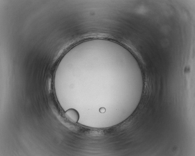 X0000115760110200911131008