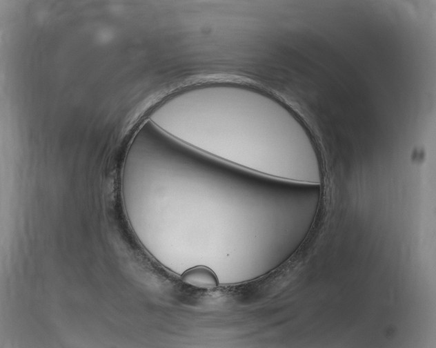 X0000115760111200911131008
