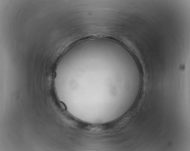 X0000115760113200911131008