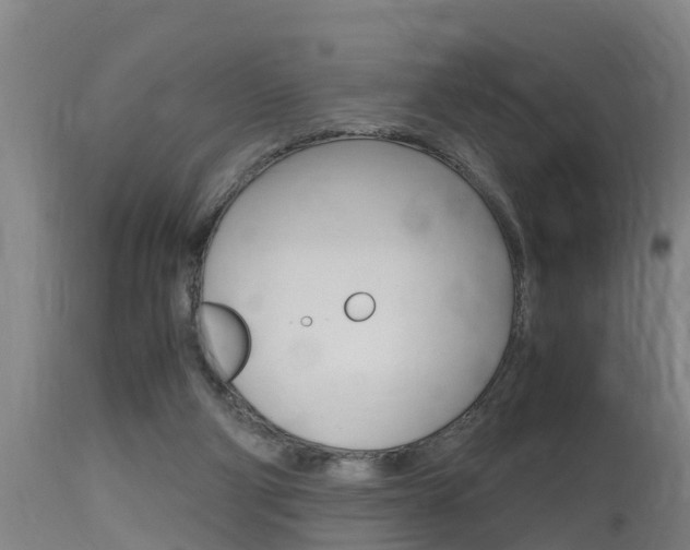 X0000115760114200911131008