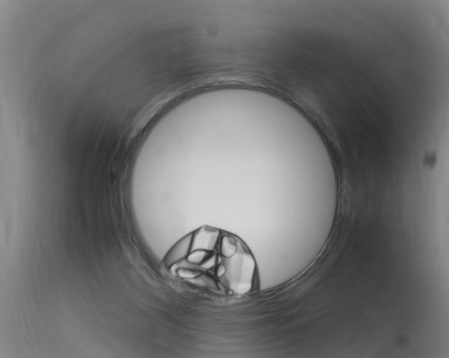 X0000115760116200911131008