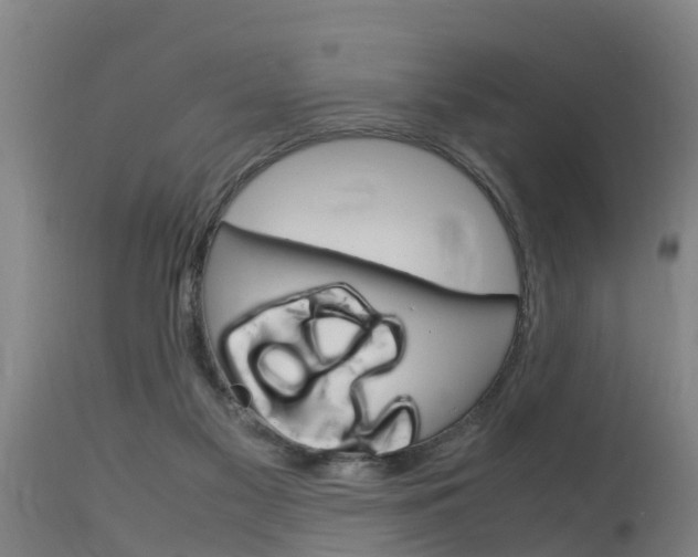 X0000115760117200911131008