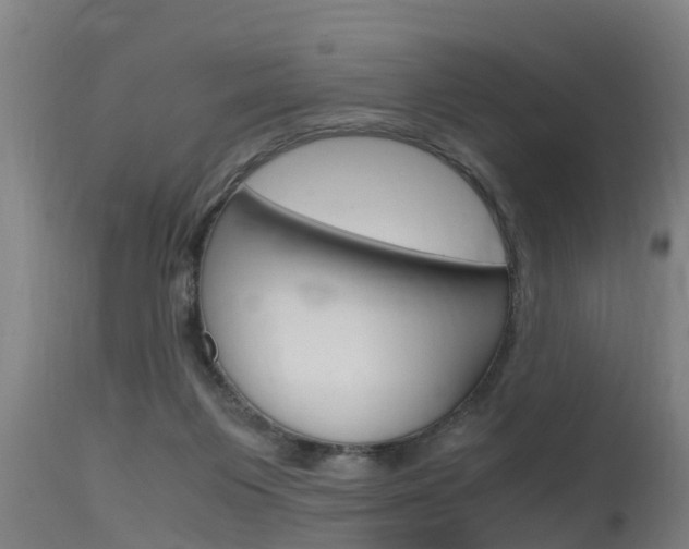 X0000115760119200911131008