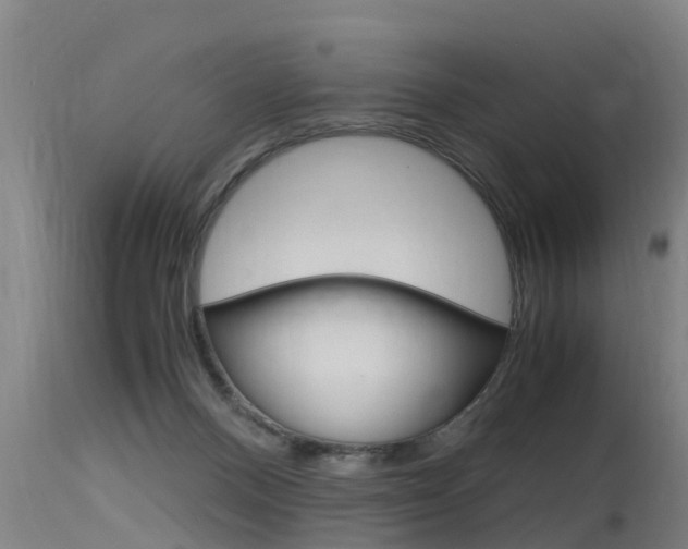 X0000115760120200911131008