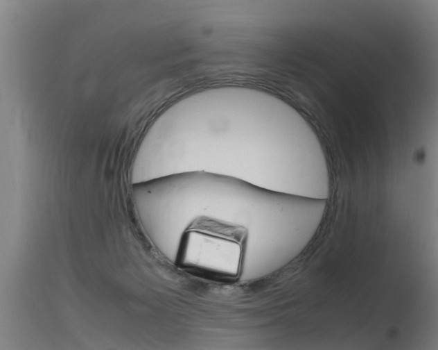 X0000115760125200911131008