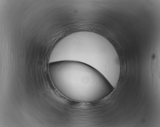 X0000115760128200911131008
