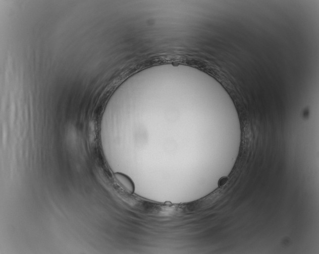 X0000115760130200911131008