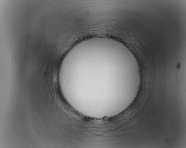X0000115760131200911131008