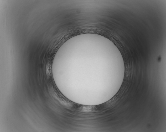 X0000115760134200911131008