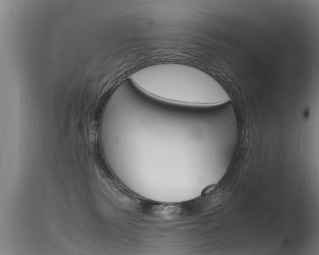 X0000115760135200911131008