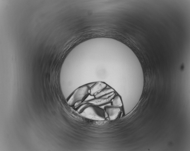 X0000115760136200911131008