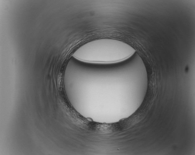 X0000115760139200911131008