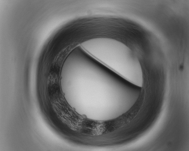 X0000115760143200911131008