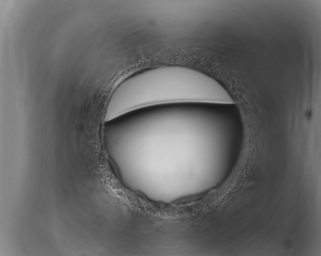 X0000115760144200911131008