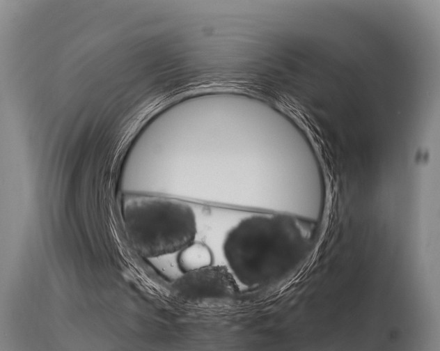 X0000115760145200911131007
