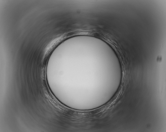 X0000115760149200911131007