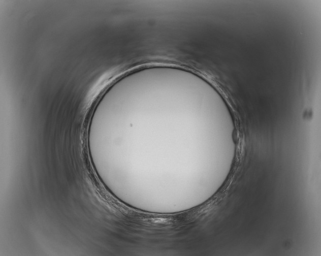 X0000115760151200911131007