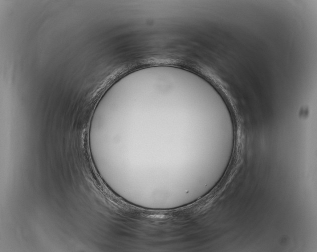 X0000115760153200911131007