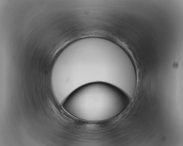 X0000115760154200911131007