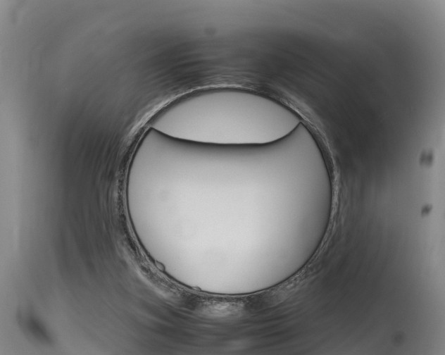 X0000115760155200911131007