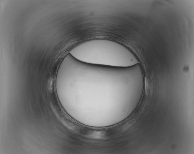 X0000115760157200911131007