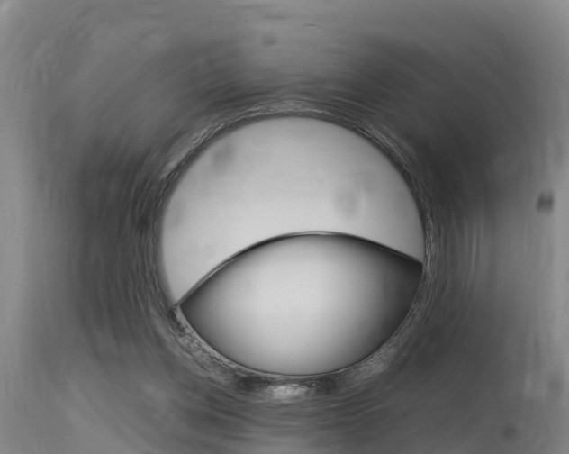 X0000115760158200911131007