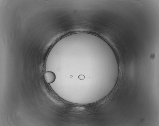 X0000115760159200911131007