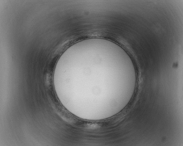 X0000115760161200911131007