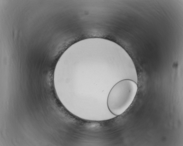 X0000115760162200911131007