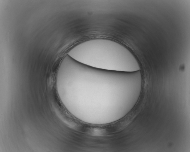 X0000115760165200911131007