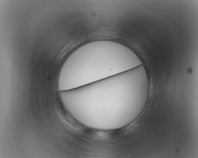 X0000115760166200911131007