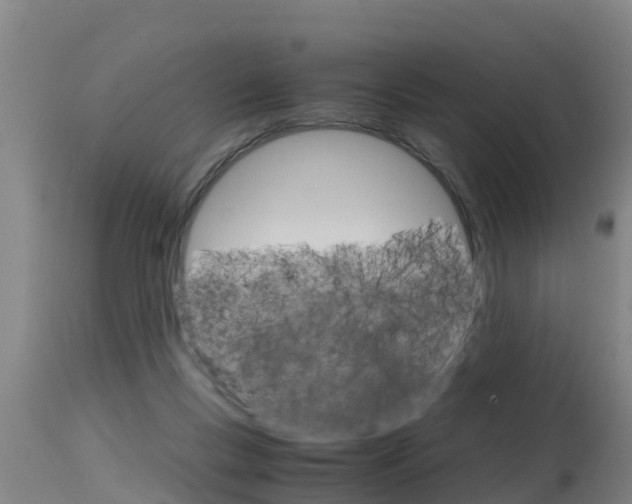 X0000115760167200911131007