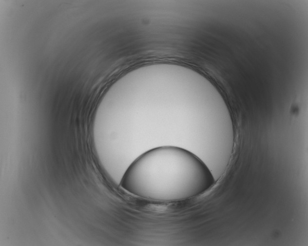 X0000115760170200911131007