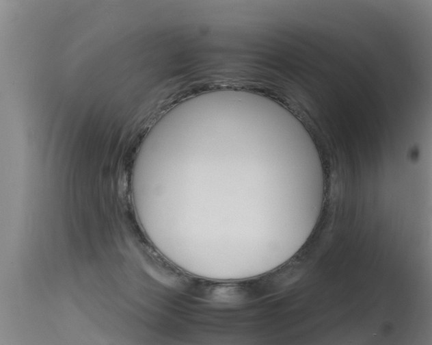 X0000115760173200911131007