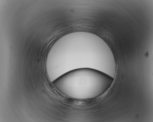 X0000115760174200911131007