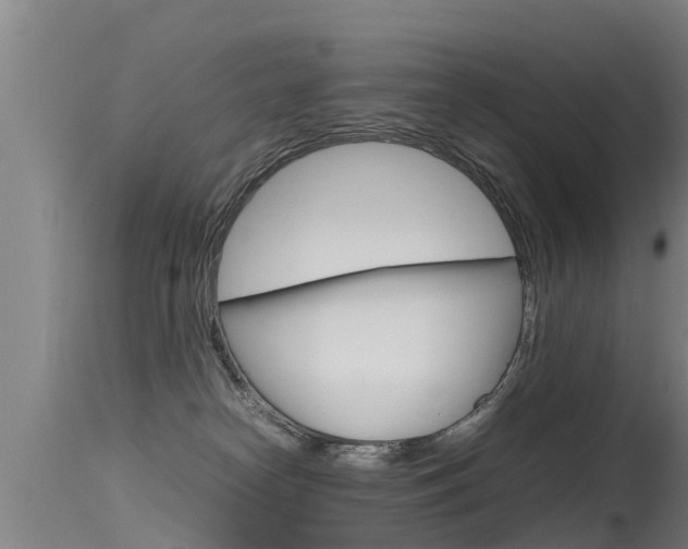 X0000115760182200911131008