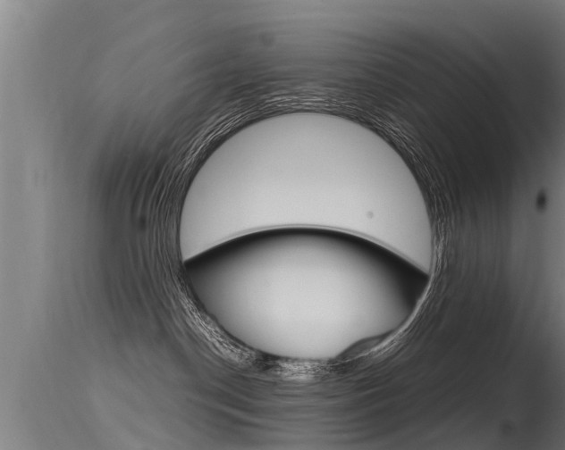 X0000115760190200911131008