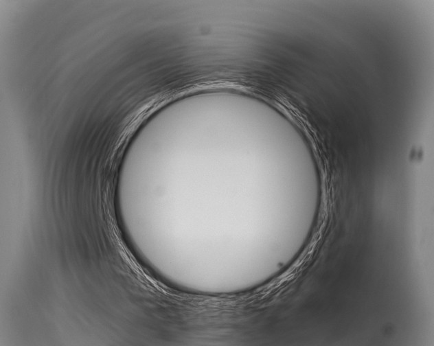 X0000115760193200911131007