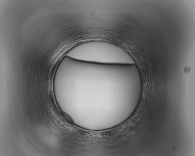 X0000115760194200911131007