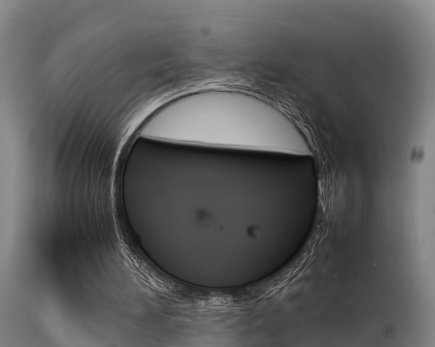X0000115760196200911131007