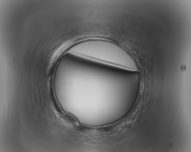 X0000115760197200911131007